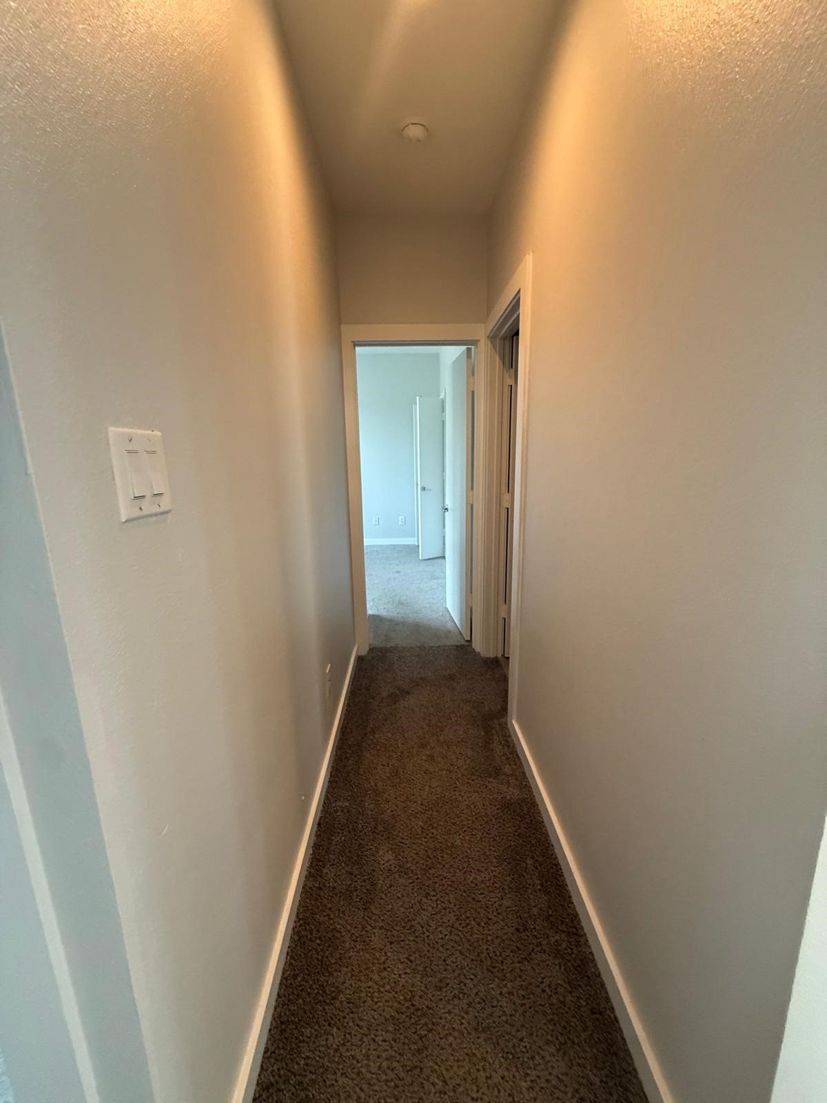 4923 Higgins St Street Property Photo 19