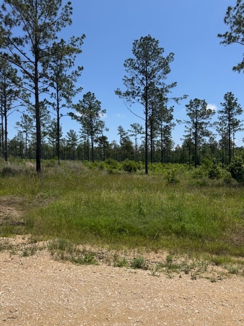 Tbd 38 Reveille Road Property Photo 1