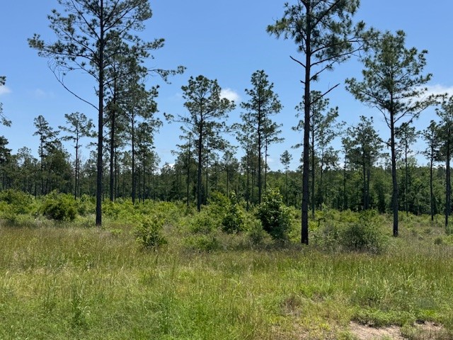 Tbd 38 Reveille Road Property Photo 2