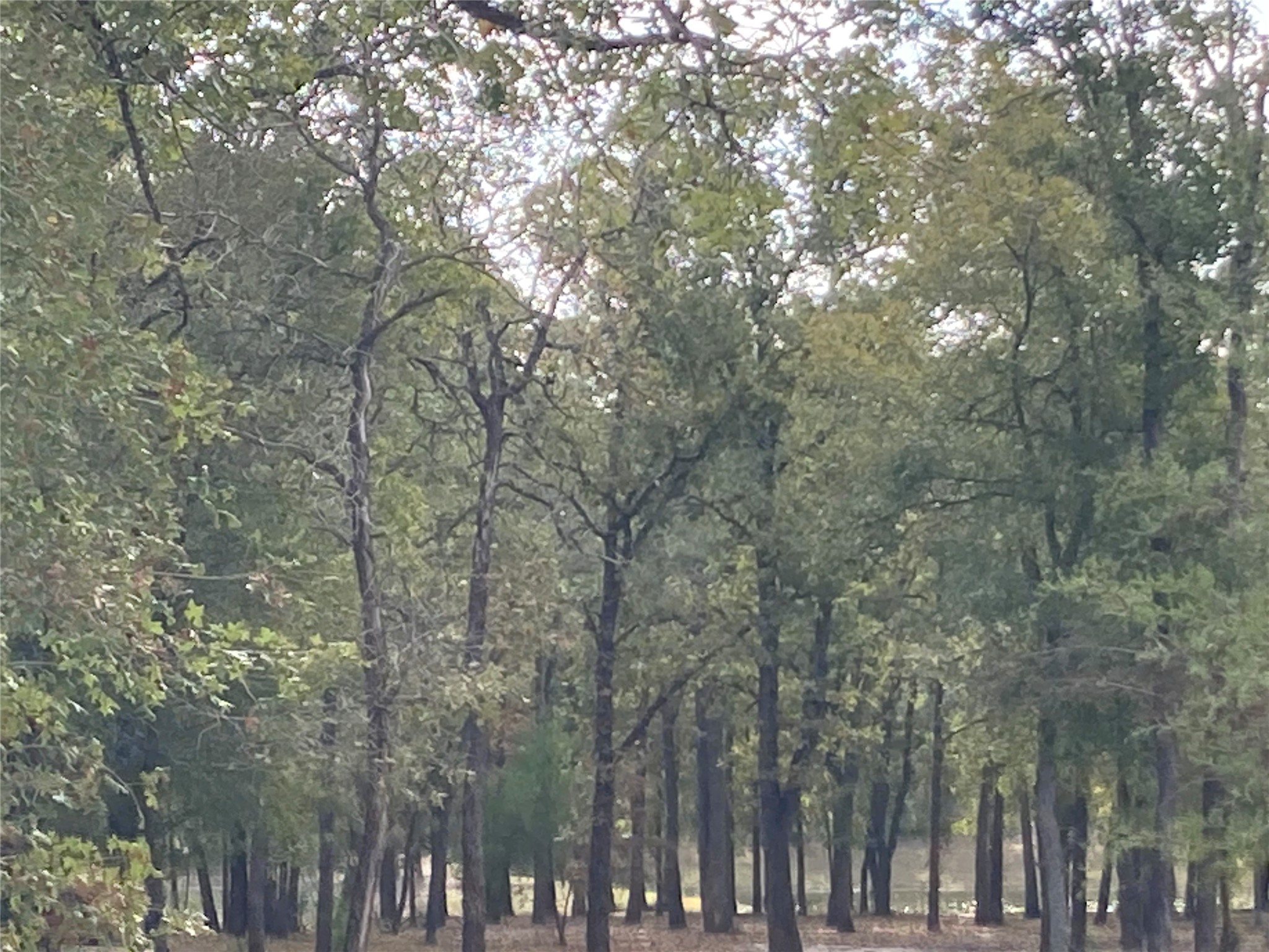 Tbd Pin Tail Cove Property Photo 8