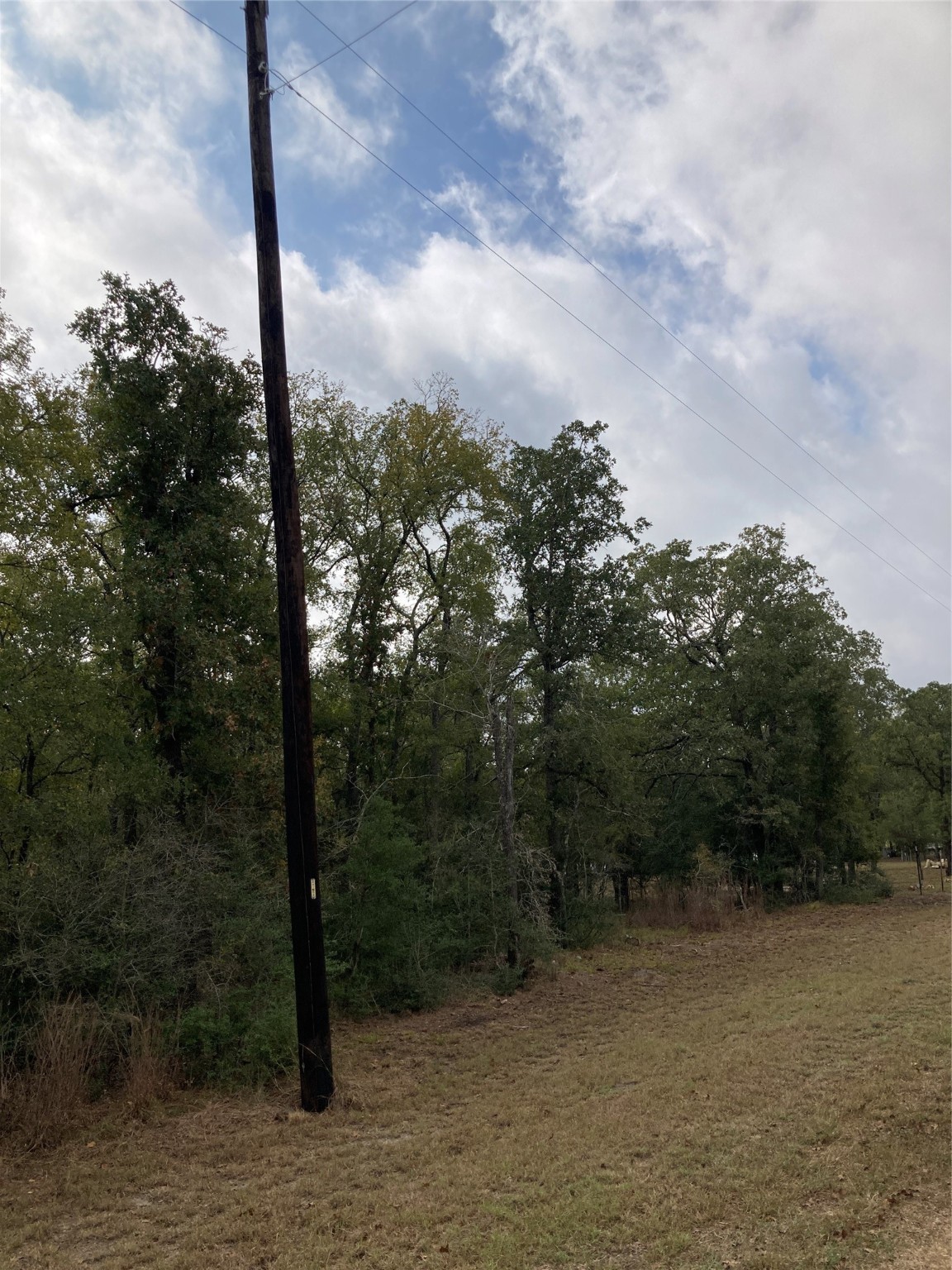 Tbd Pin Tail Cove Property Photo 11