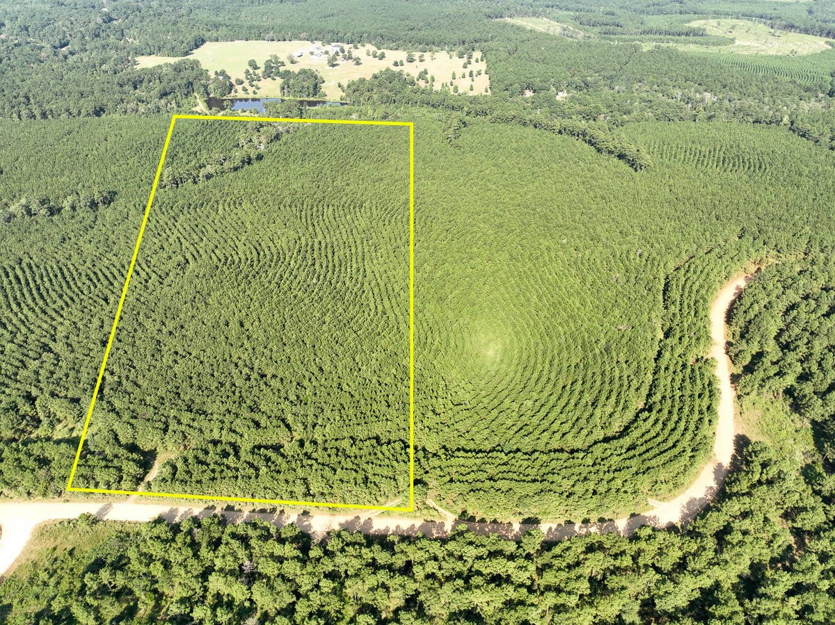 000 Shady Grove Rd Property Photo 1