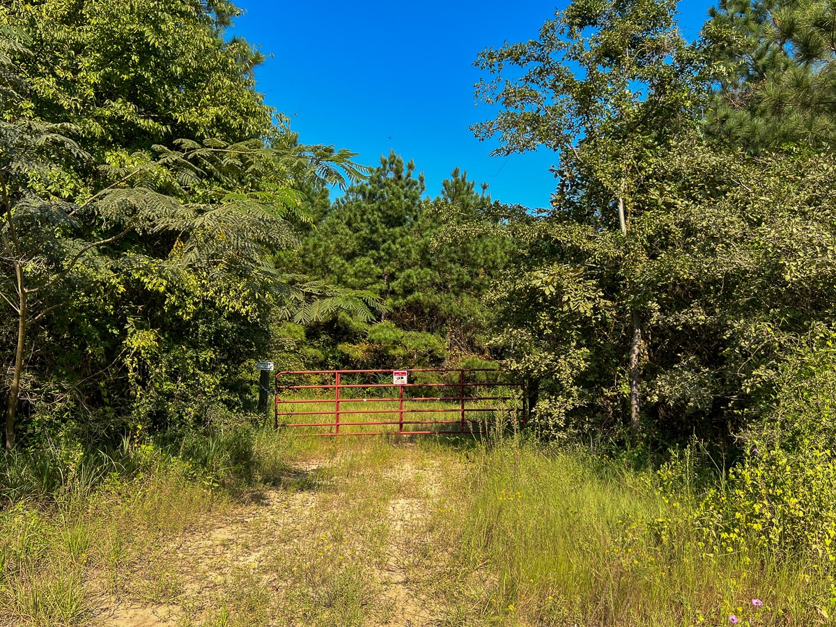 000 Shady Grove Rd Property Photo 8