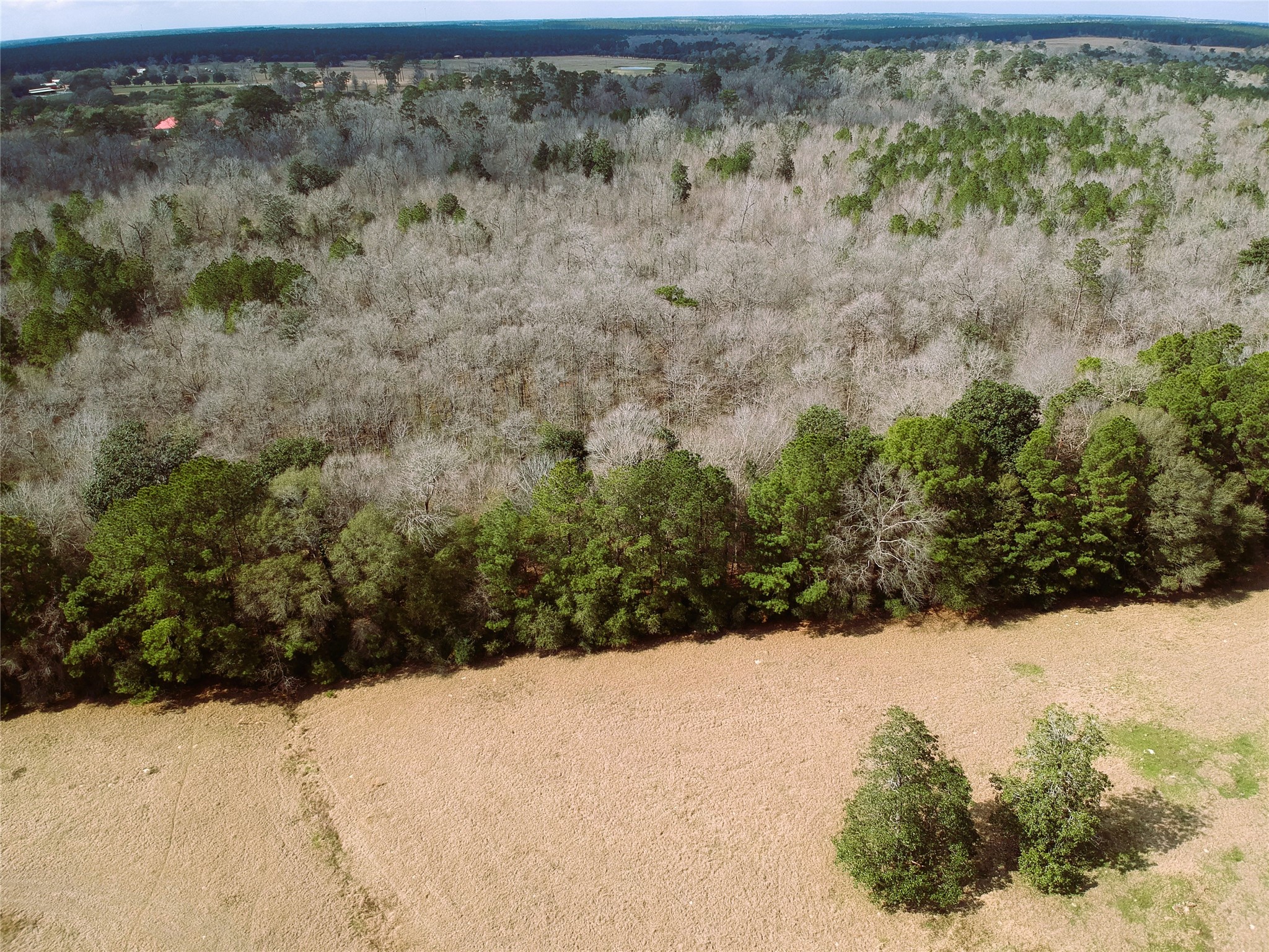 Lot 1 Lakeland Ranch Drive Property Photo 5