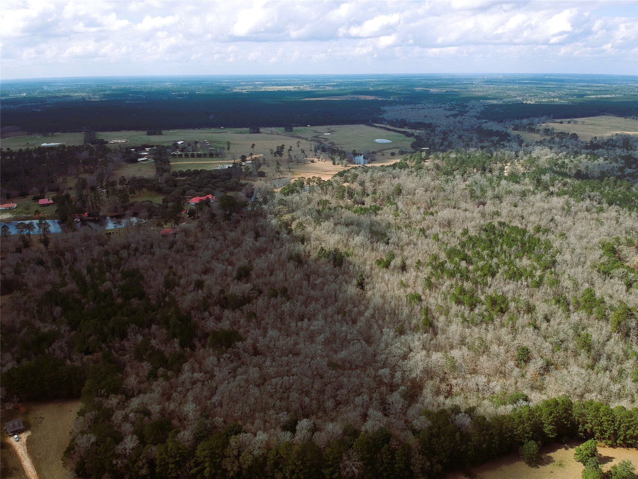 Lot 1 Lakeland Ranch Drive Property Photo 6