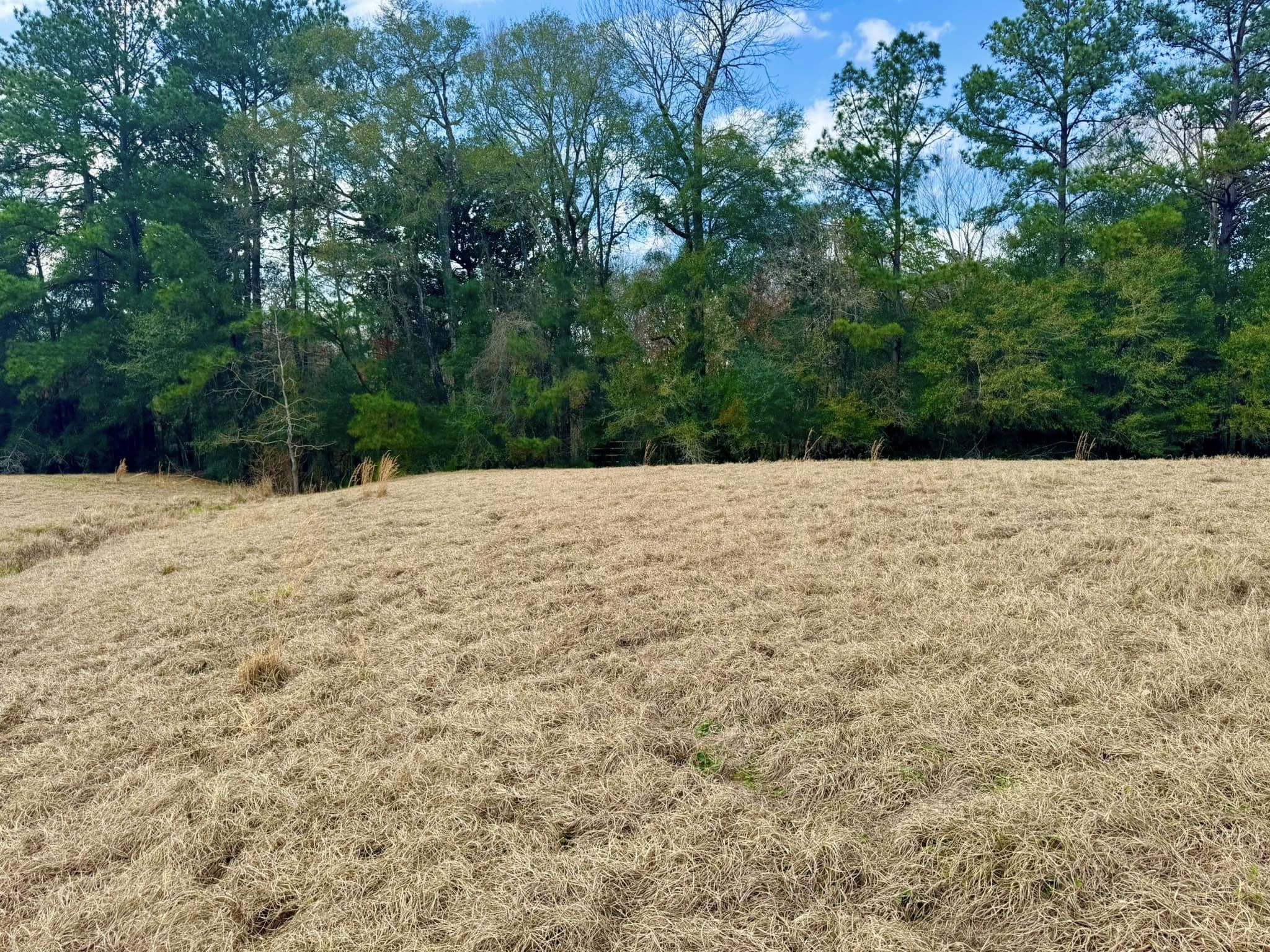 Lot 1 Lakeland Ranch Drive Property Photo 14