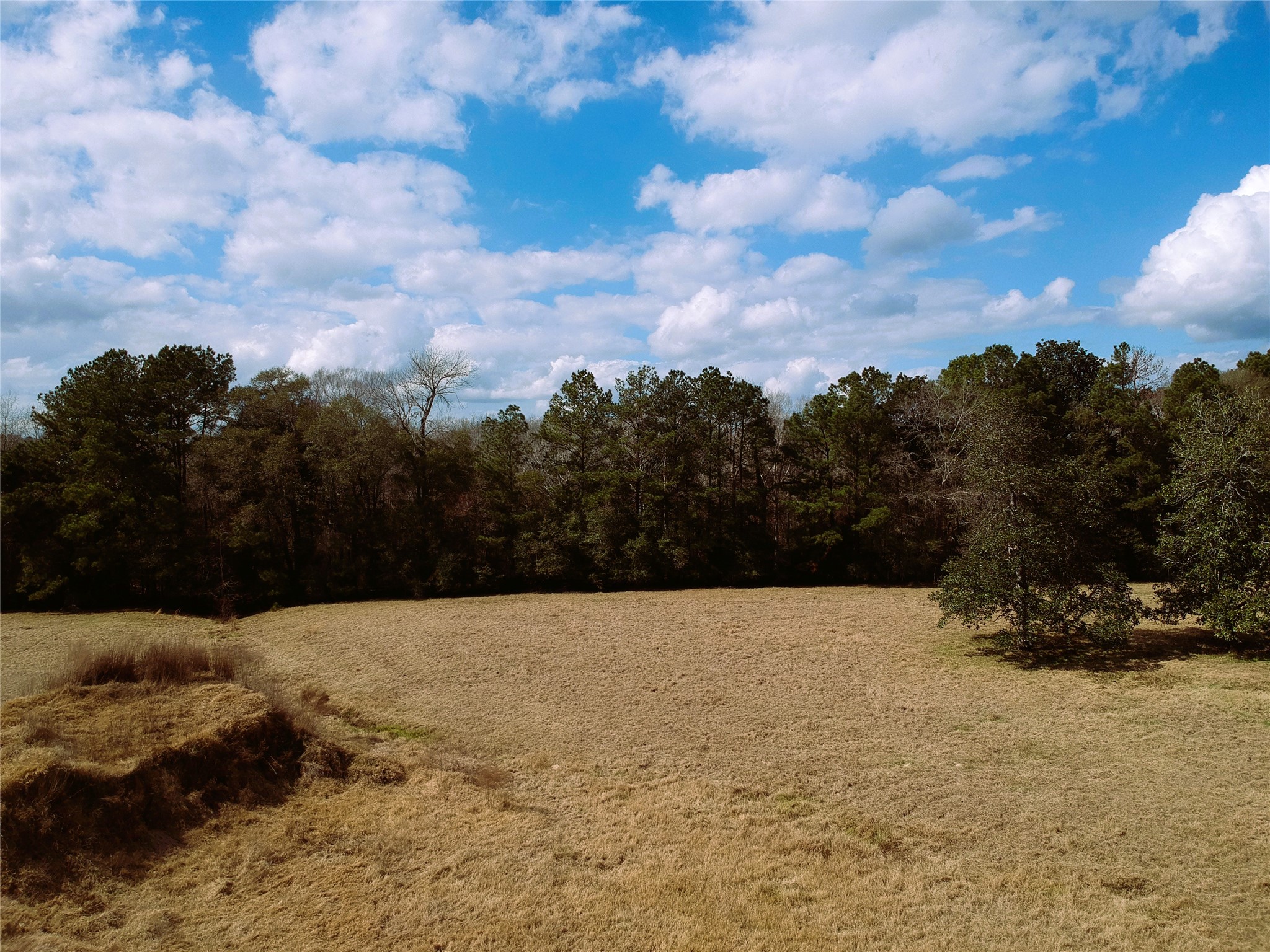 Lot 1 Lakeland Ranch Drive Property Photo 25