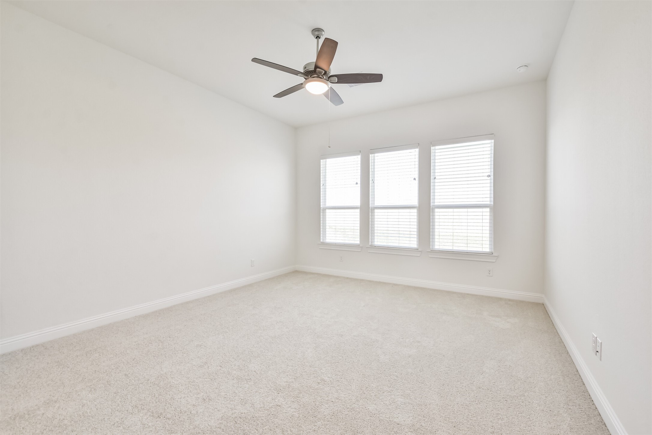 10818 Carolina Willow Ct Property Photo 16