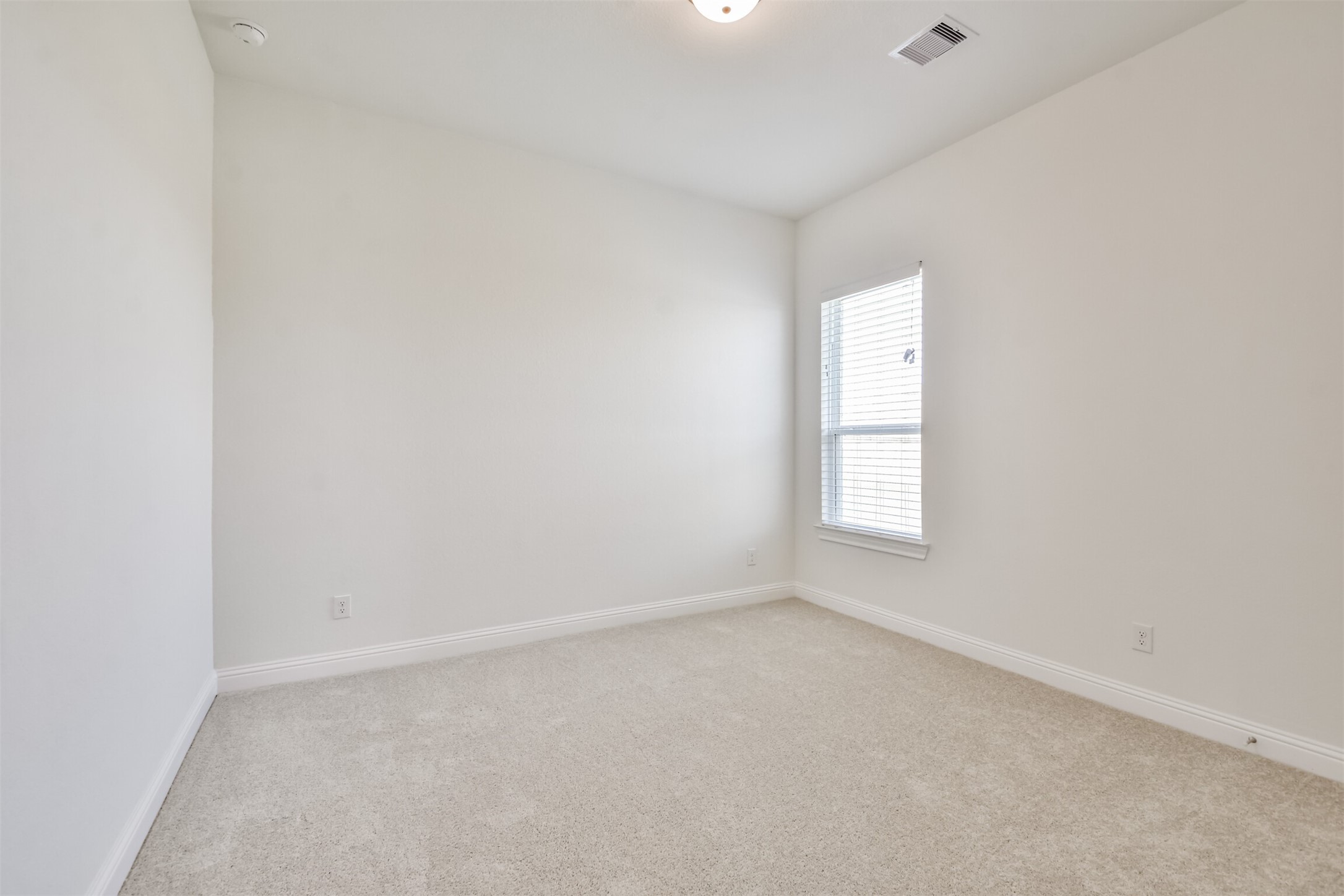 10818 Carolina Willow Ct Property Photo 23