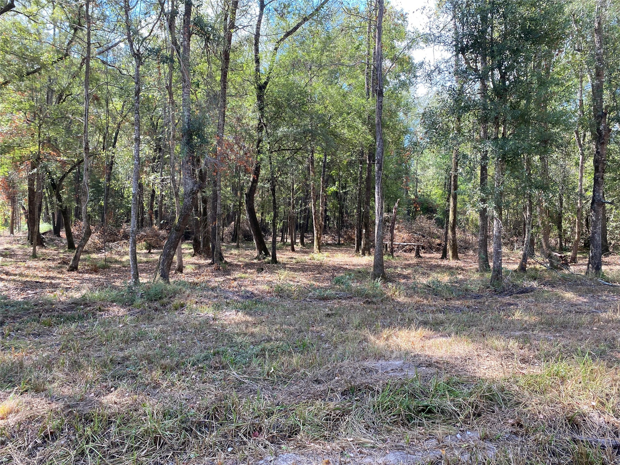 0 Private Road 2055 Property Photo
