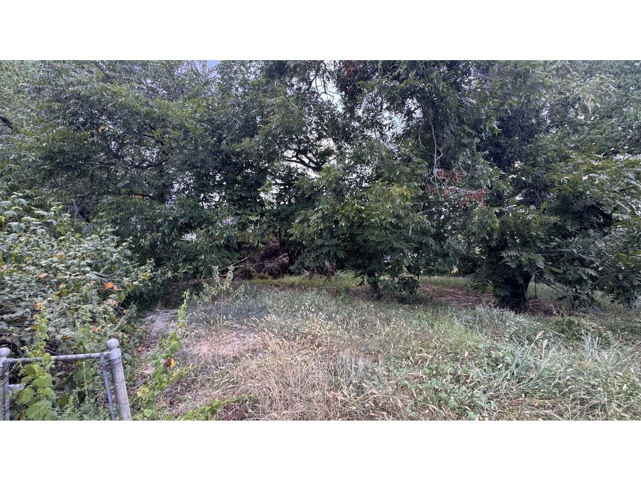 7006 Foster Street Property Photo 3