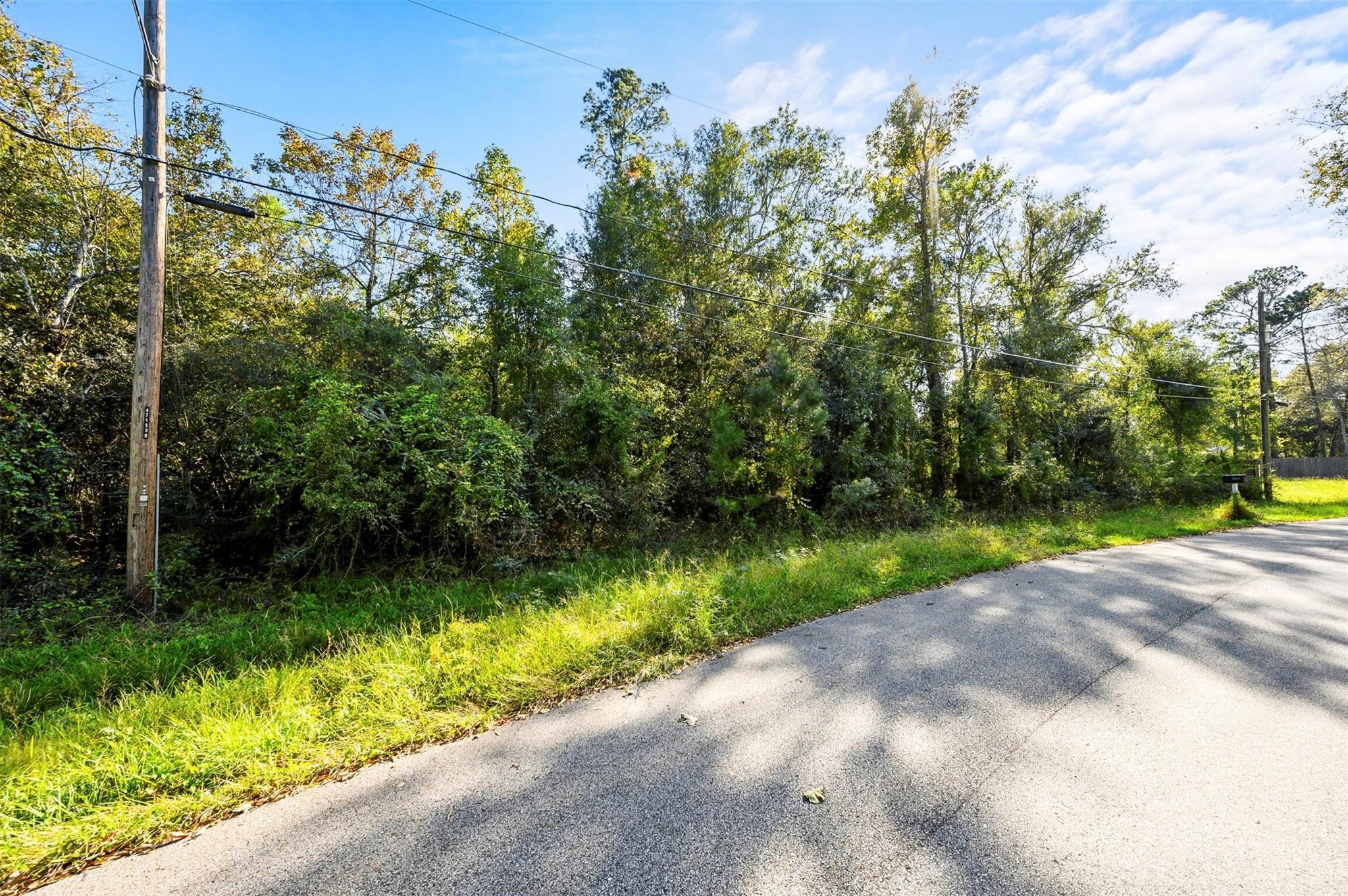 1407 Black Bear Drive Property Photo 2