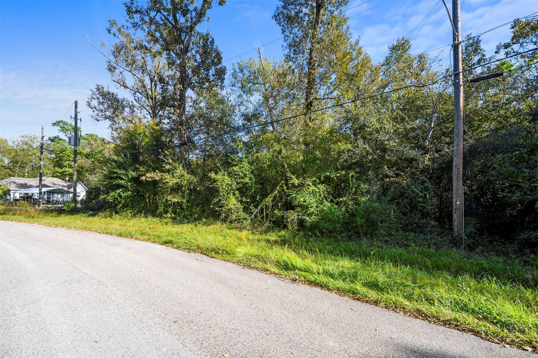 1407 Black Bear Drive Property Photo 3