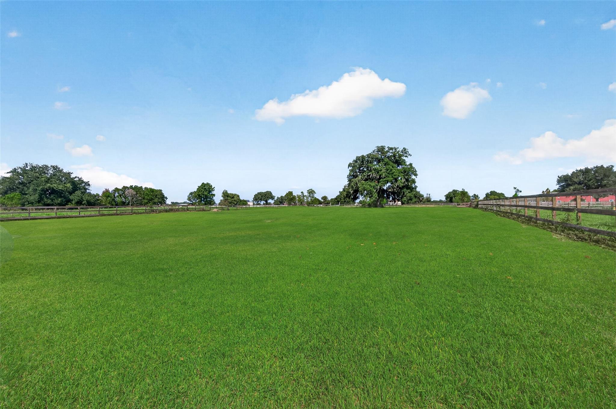 2926 Horse Trail Drive, Rosharon Tx 77583 Property Photo 41