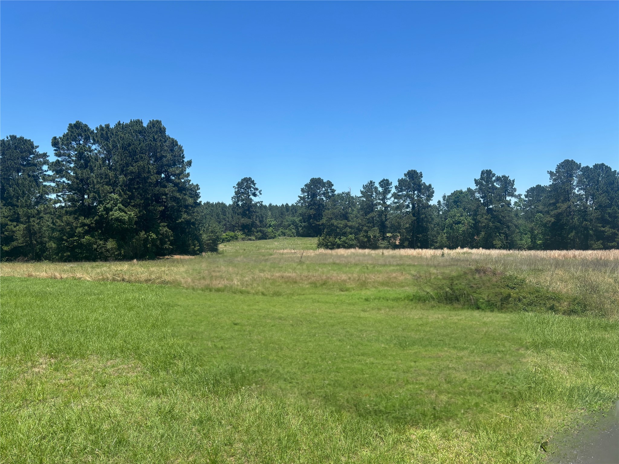 1560 Fm 355 Property Photo 34