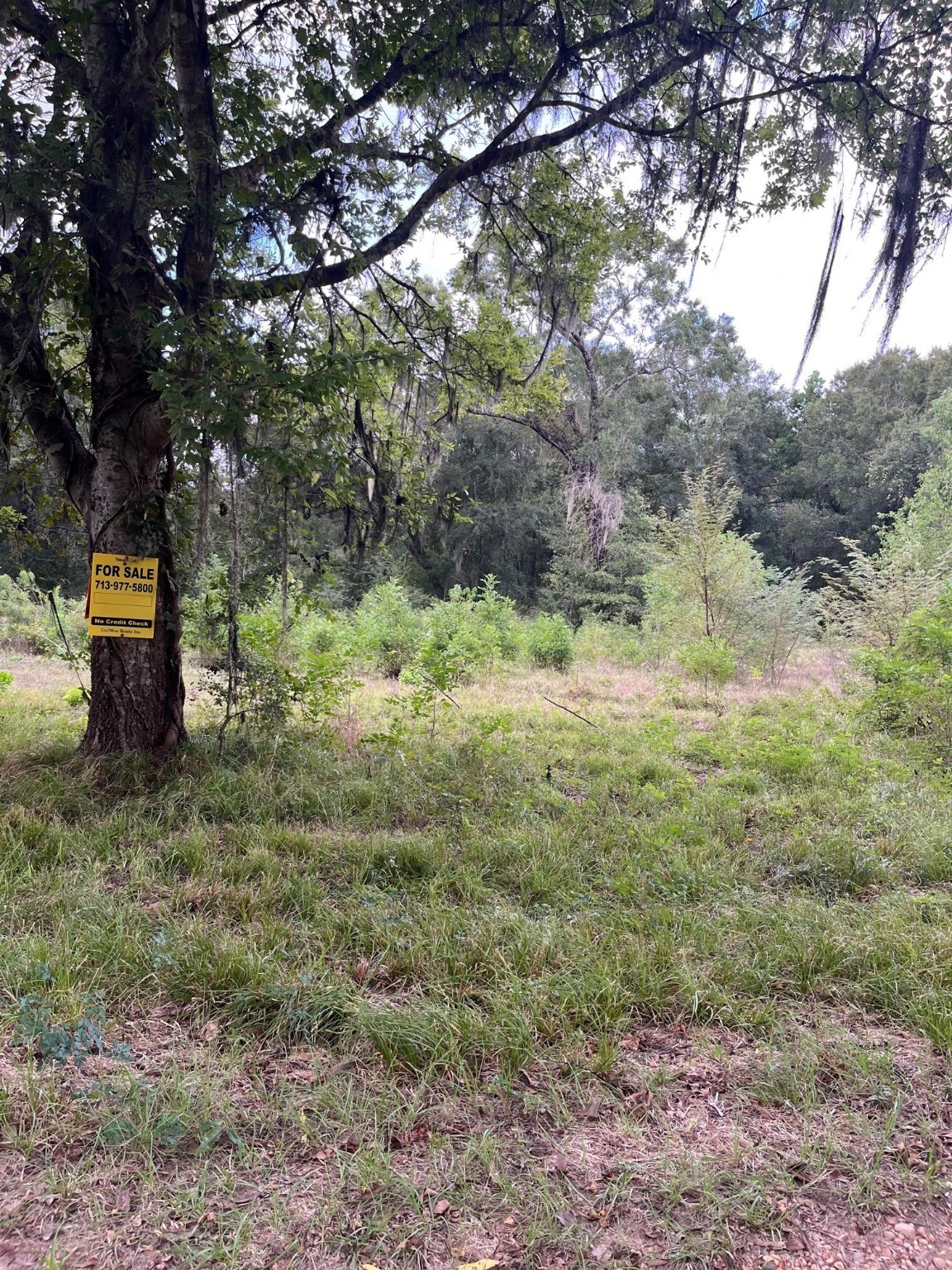 0 N Francies Property Photo 1