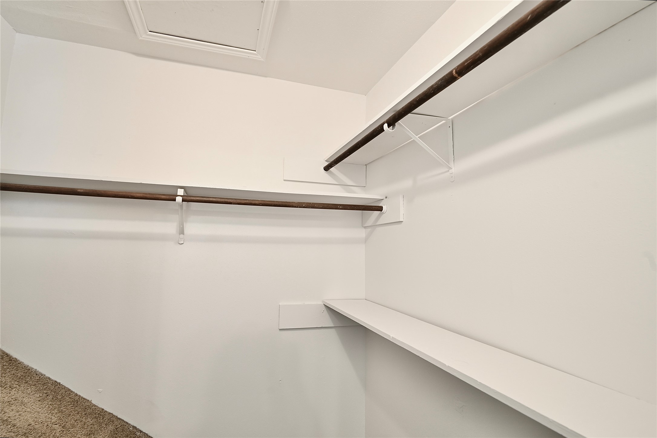8314 La Roche Lane Property Photo 20