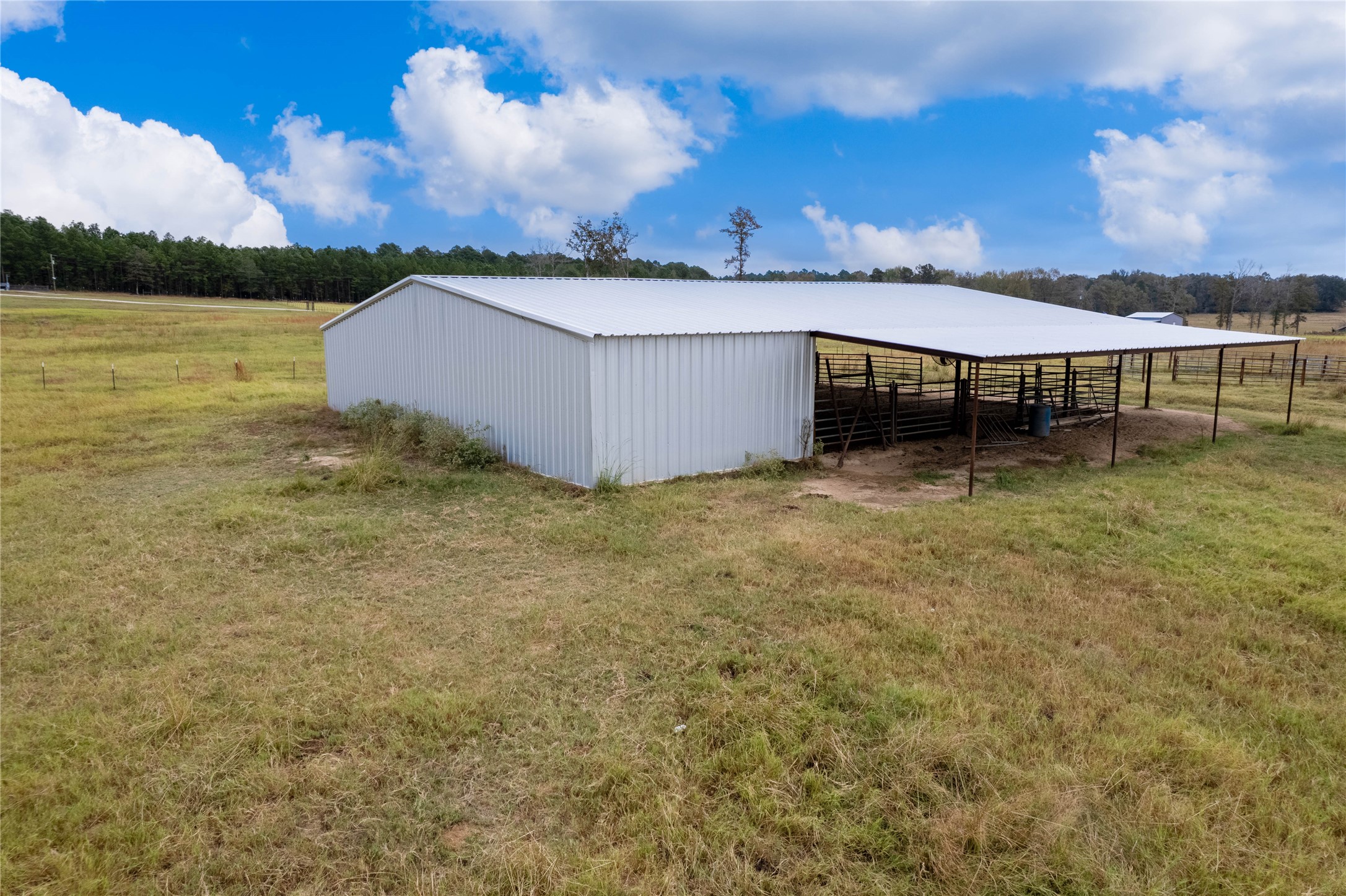 1322 An County Road 171 Property Photo 5