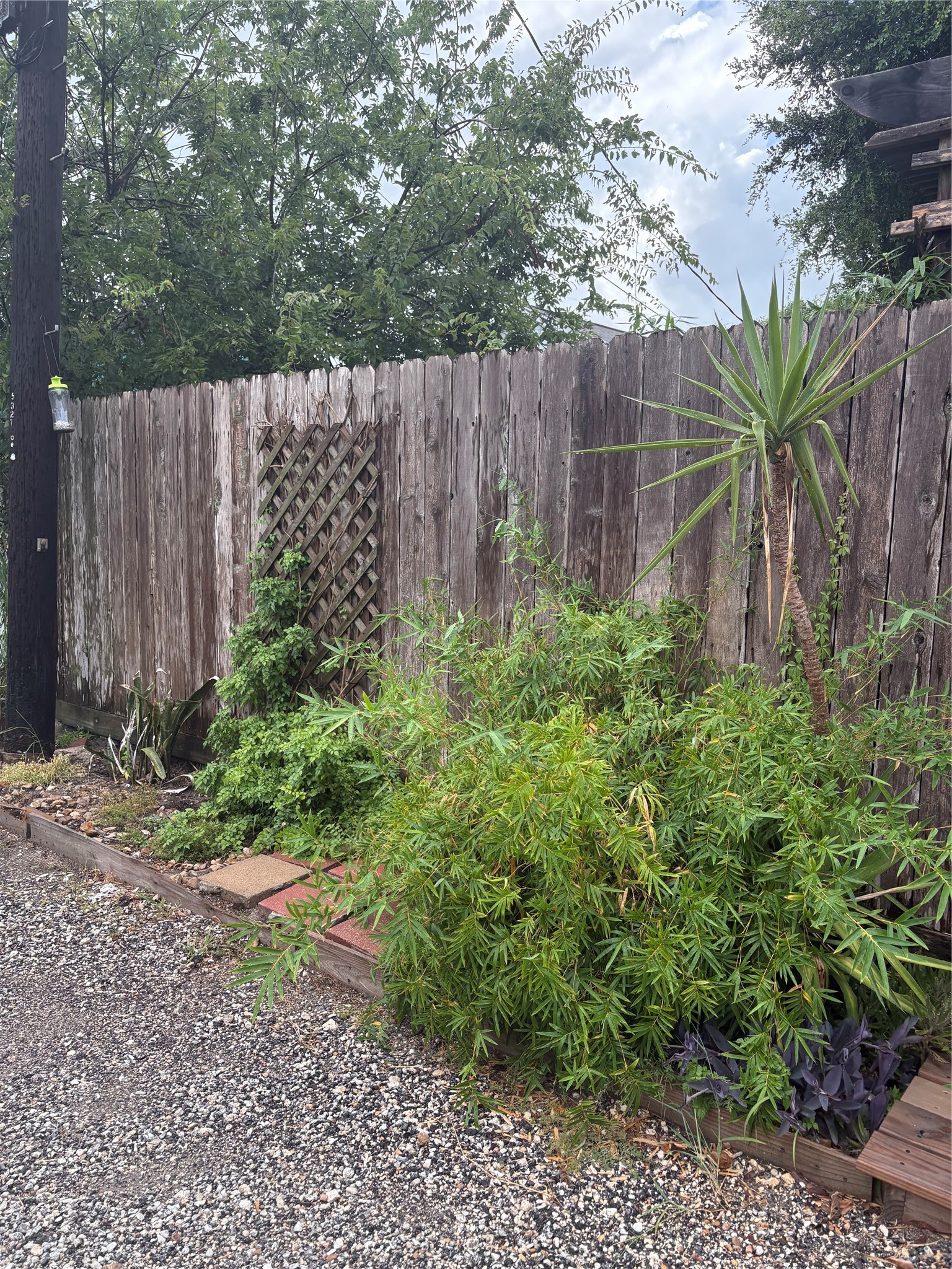 5325 Avenue R 1/2 B Property Photo 28