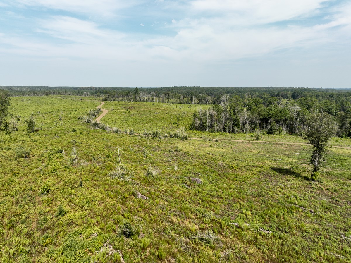 1 County Road 3725 Property Photo 15