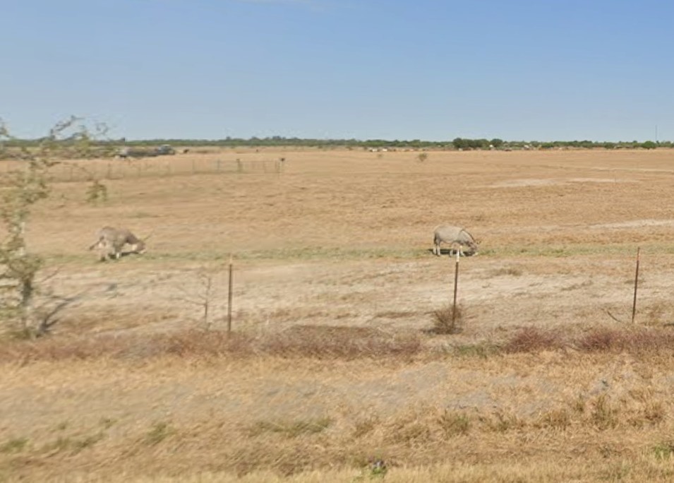 37070 Bell Road Property Photo 4