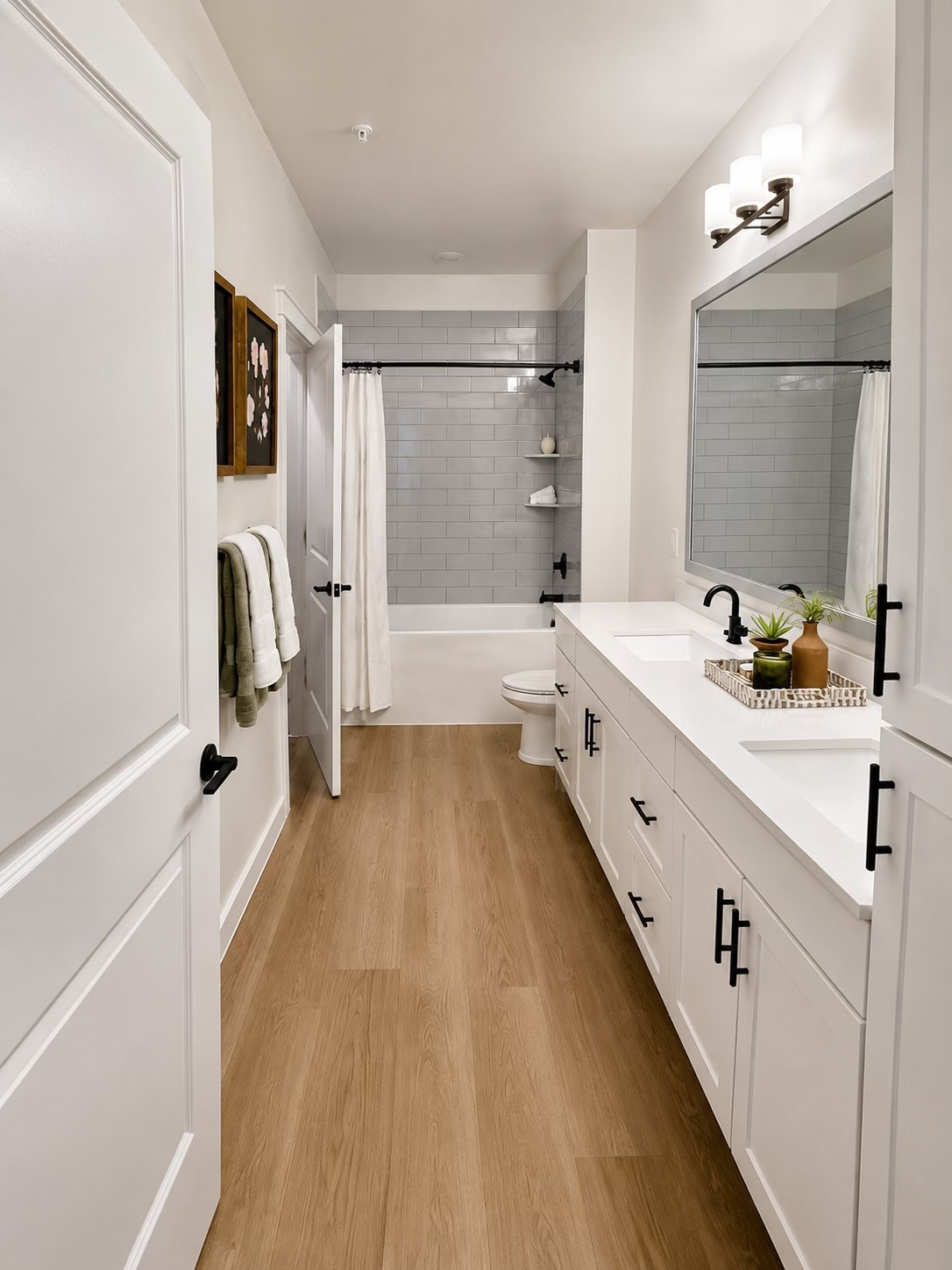10902 Pine Peak Way B1 Property Photo 6