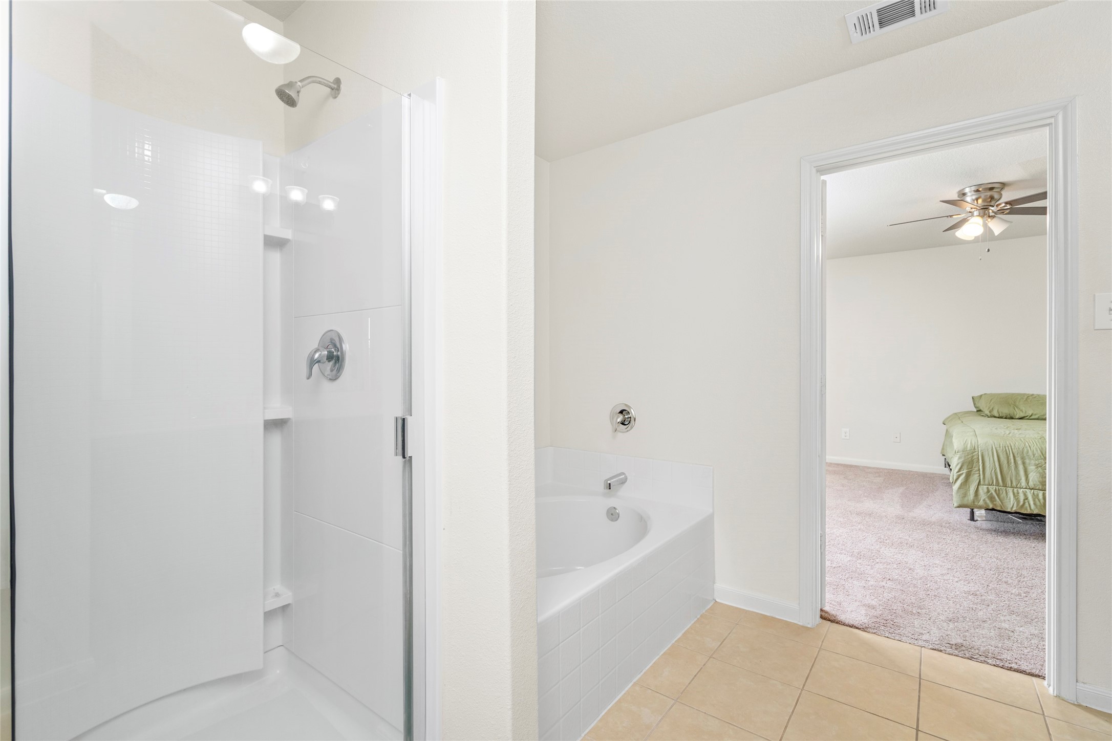 9719 Montana Sapphire Lane Property Photo 33