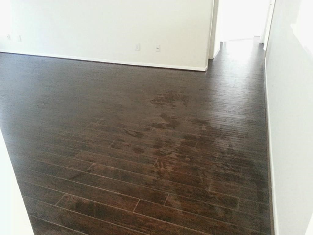 2402 Sparrow Branch Court Property Photo 9