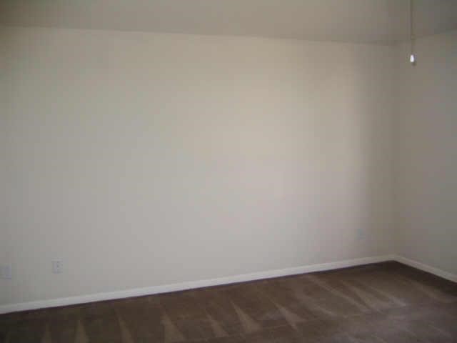 2402 Sparrow Branch Court Property Photo 17
