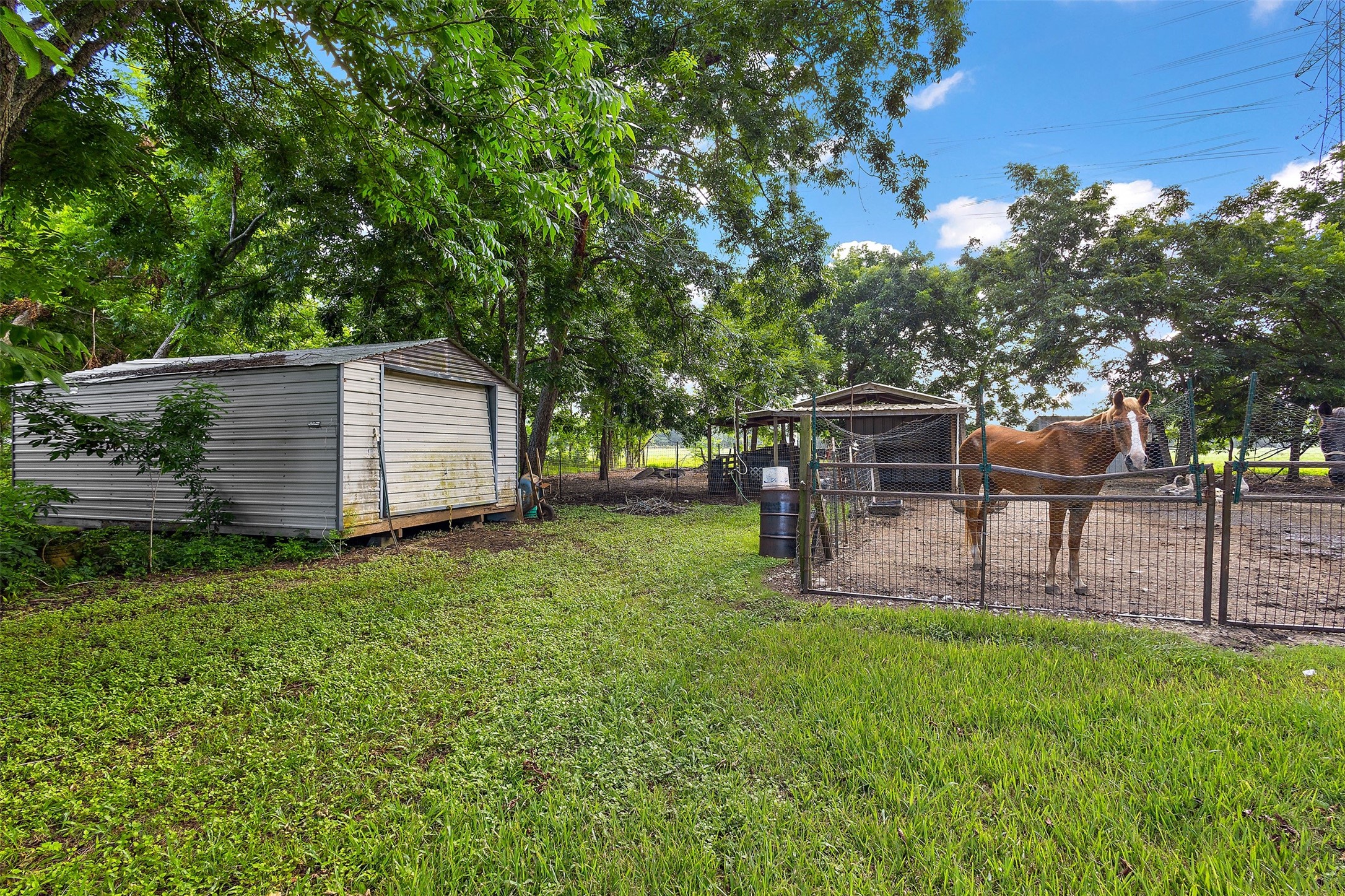 625 Pittman Road Property Photo 41