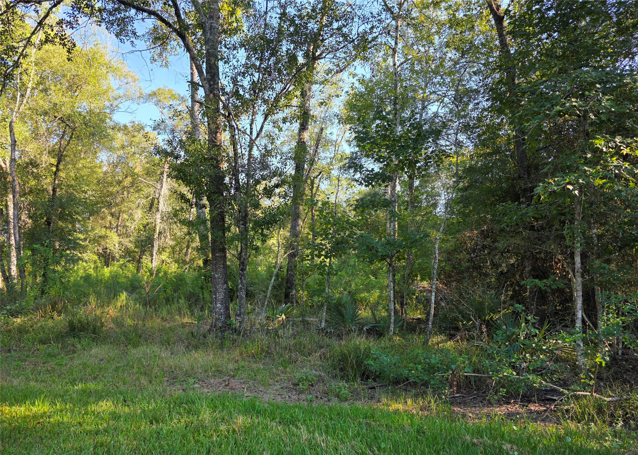 00 Tidwell Lane Property Photo 1