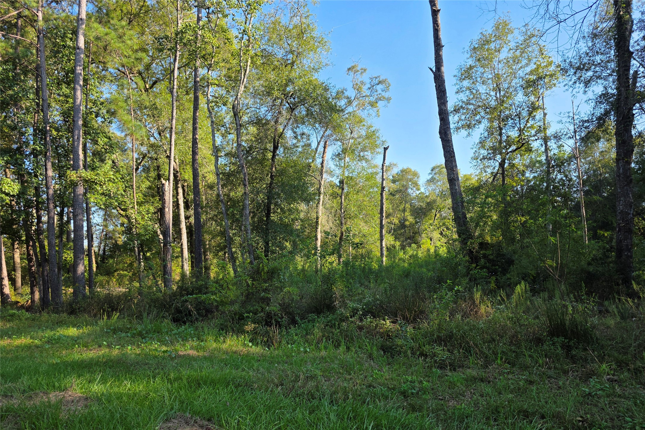 00 Tidwell Lane Property Photo 3