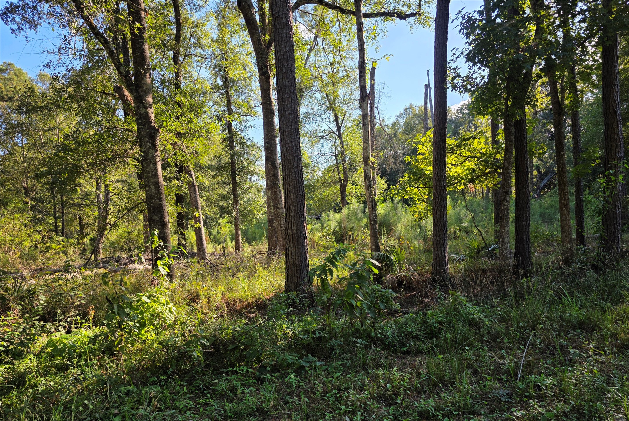 00 Tidwell Lane Property Photo 4