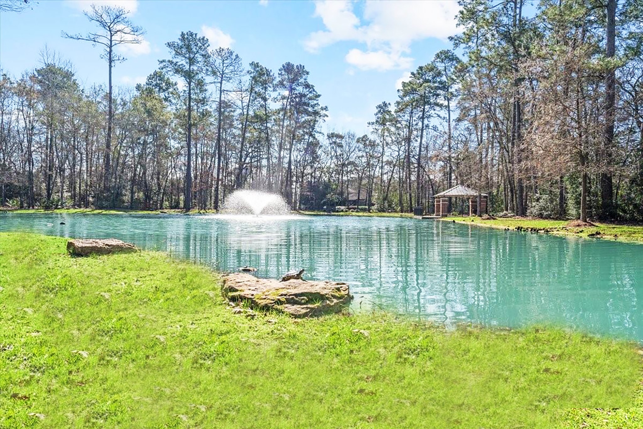 20188 Aldens Oak Property Photo 34