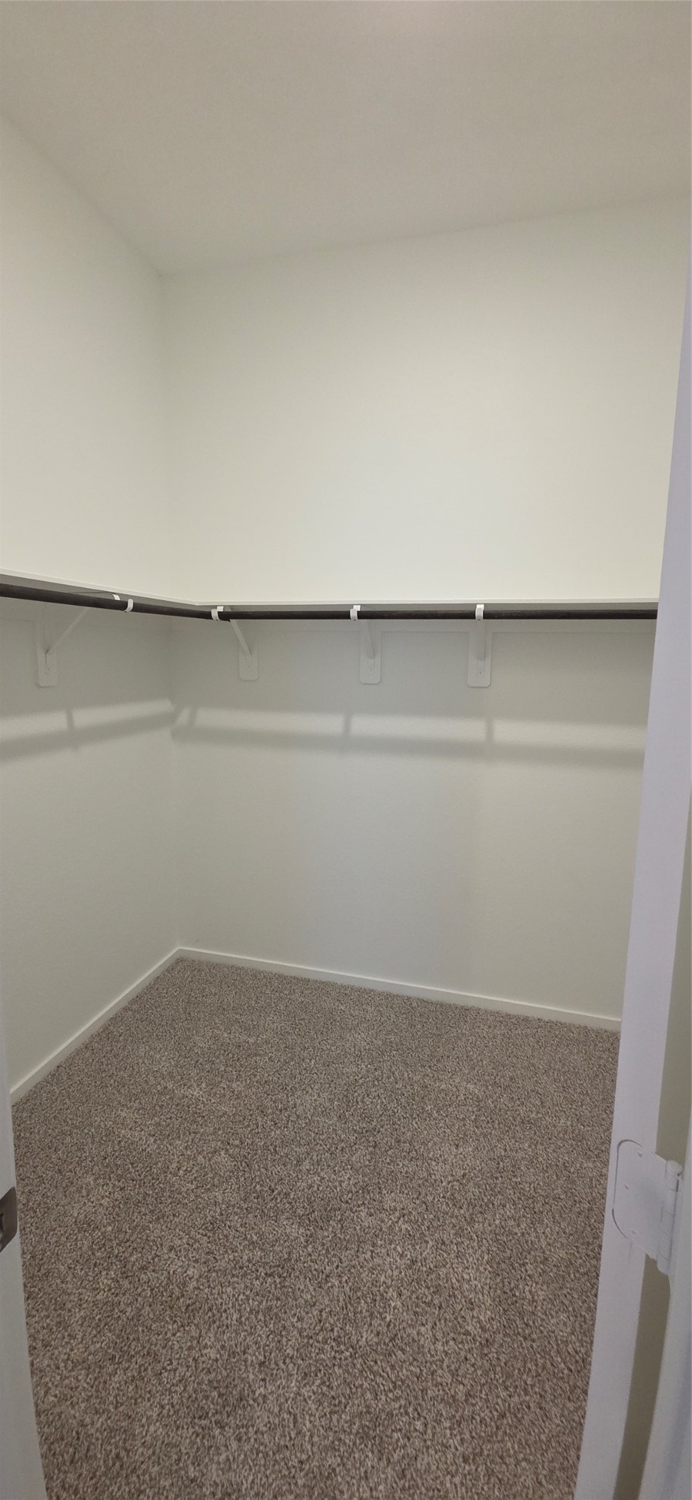 5110 Sunvalley Bend Drive Property Photo 14