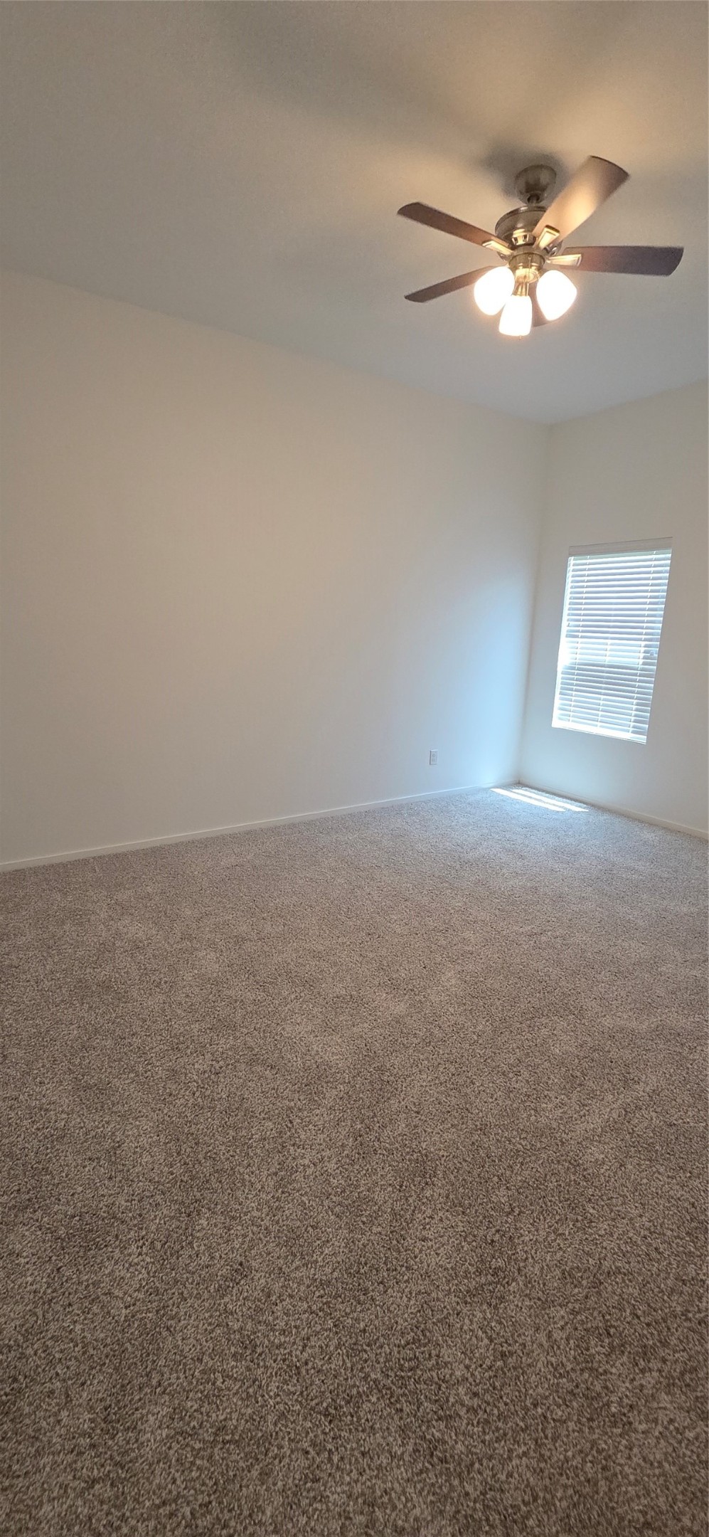 5110 Sunvalley Bend Drive Property Photo 15