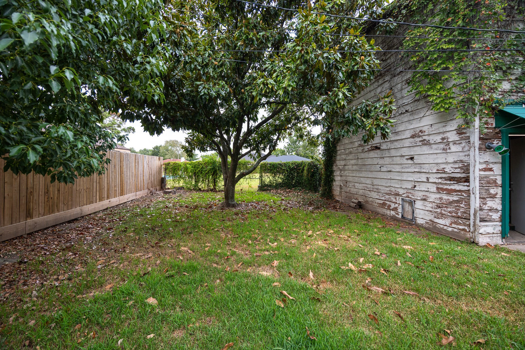 4810 Donald Street Property Photo 5