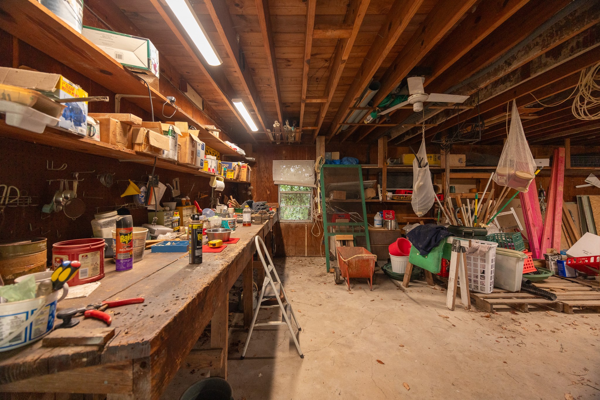 4810 Donald Street Property Photo 11