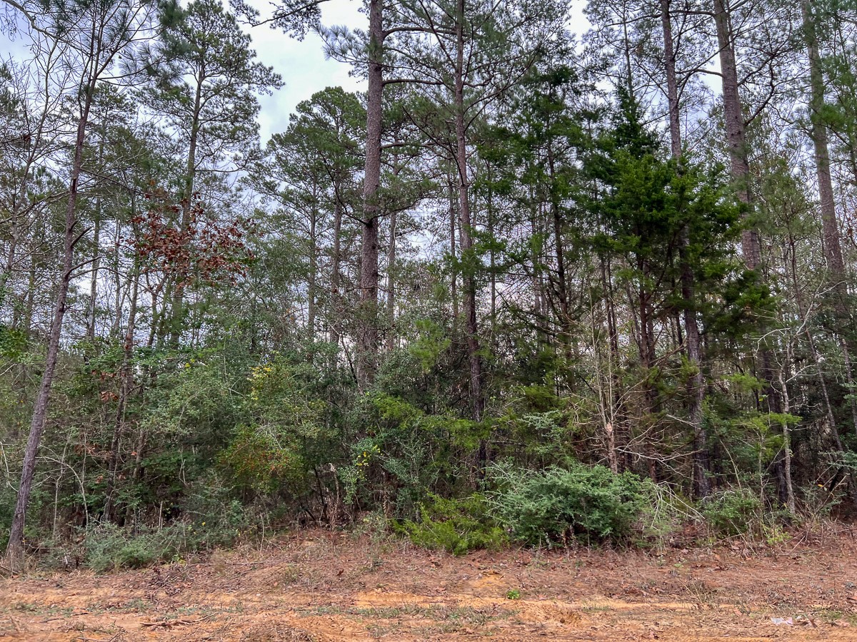 T-3 County Road 1019 Property Photo 7