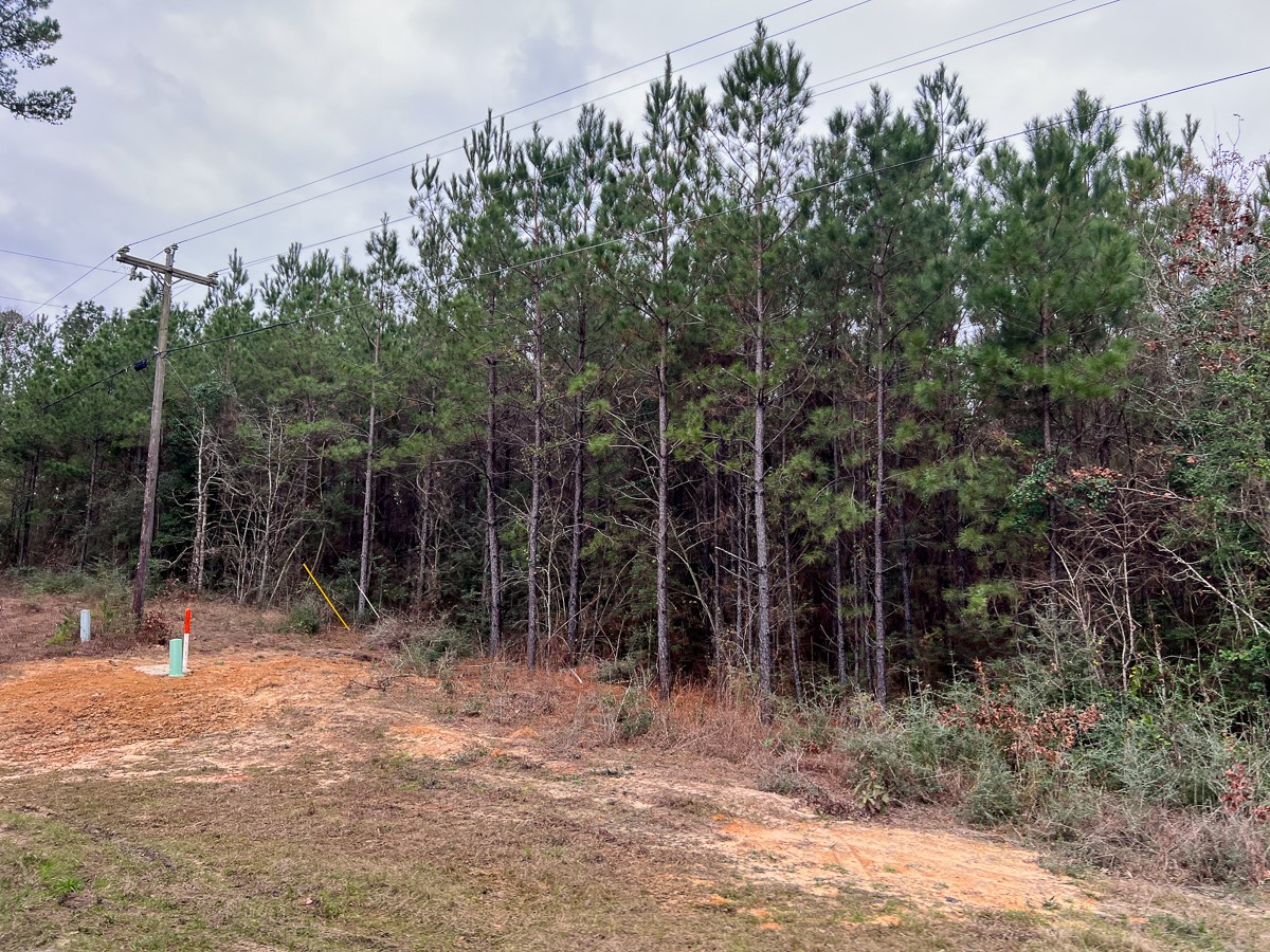 T-3 County Road 1019 Property Photo 13