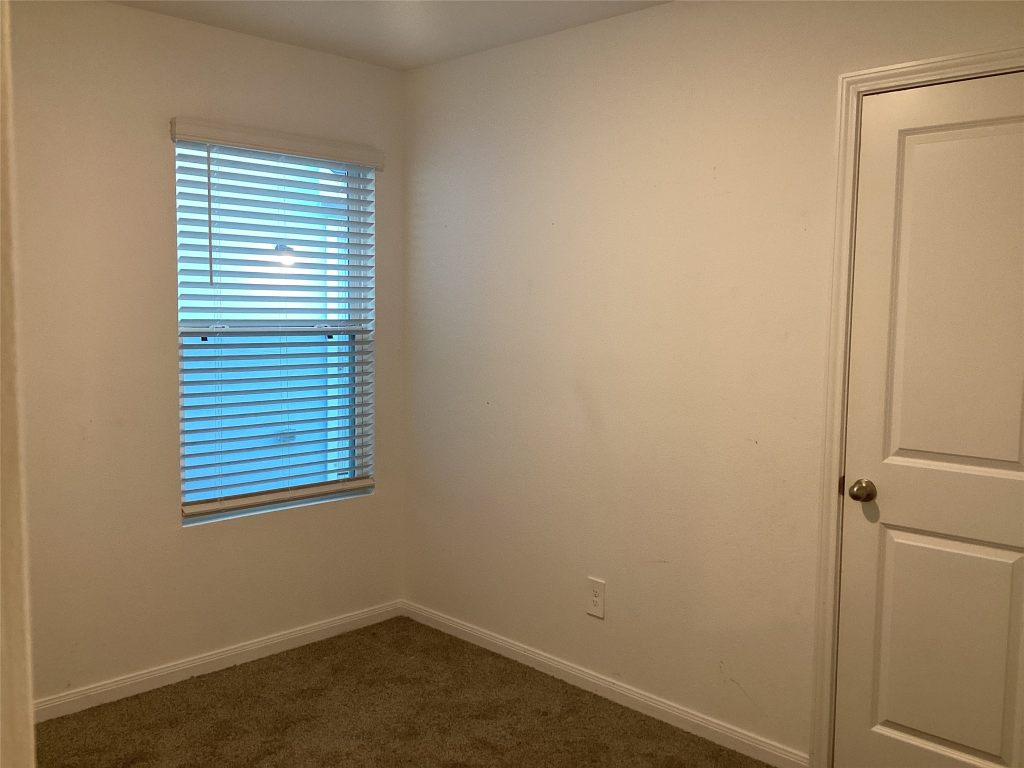 16528 Jasmine Marie Place Property Photo 18