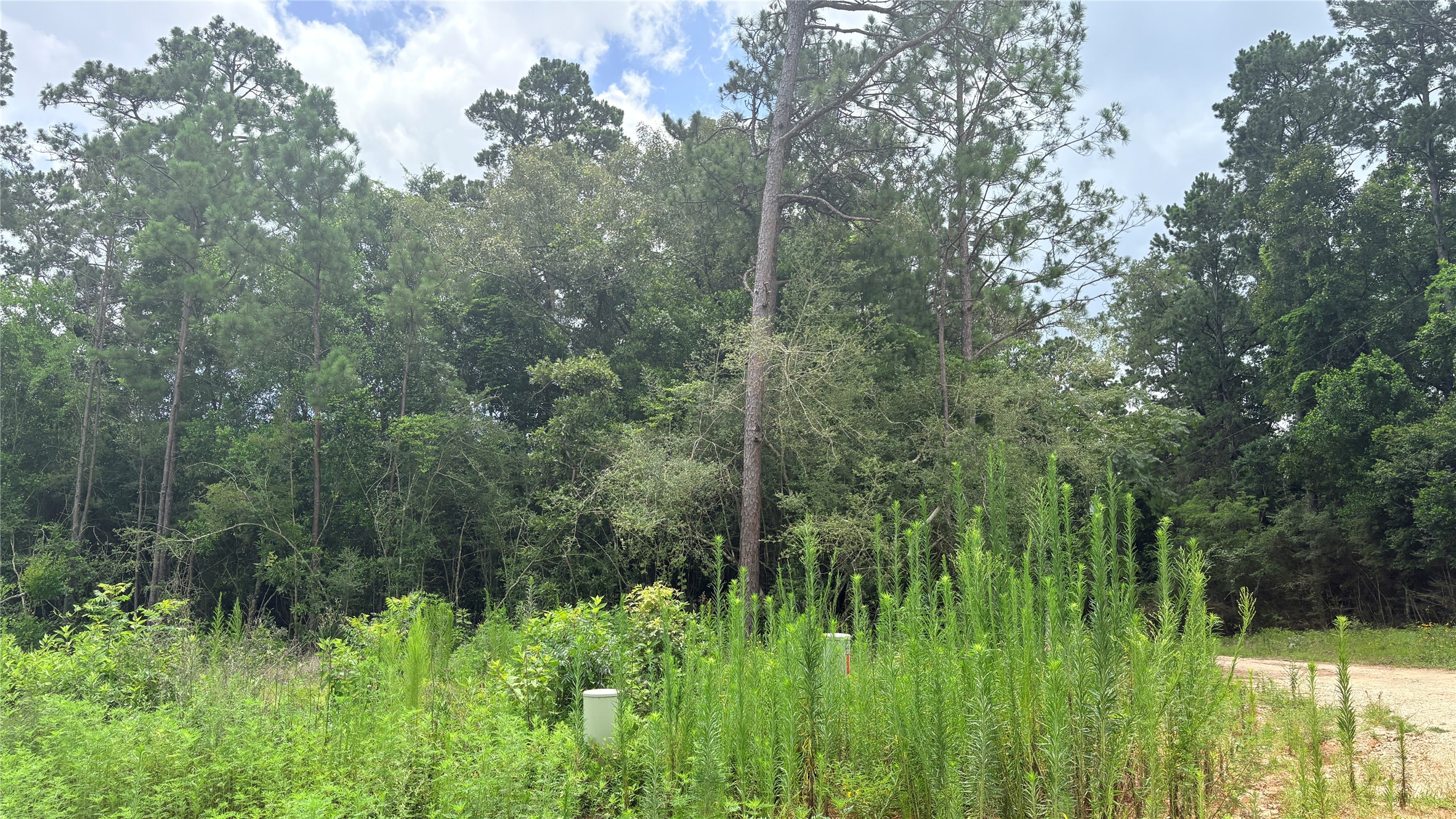 Lot 1 Millcreek Drive Property Photo 3