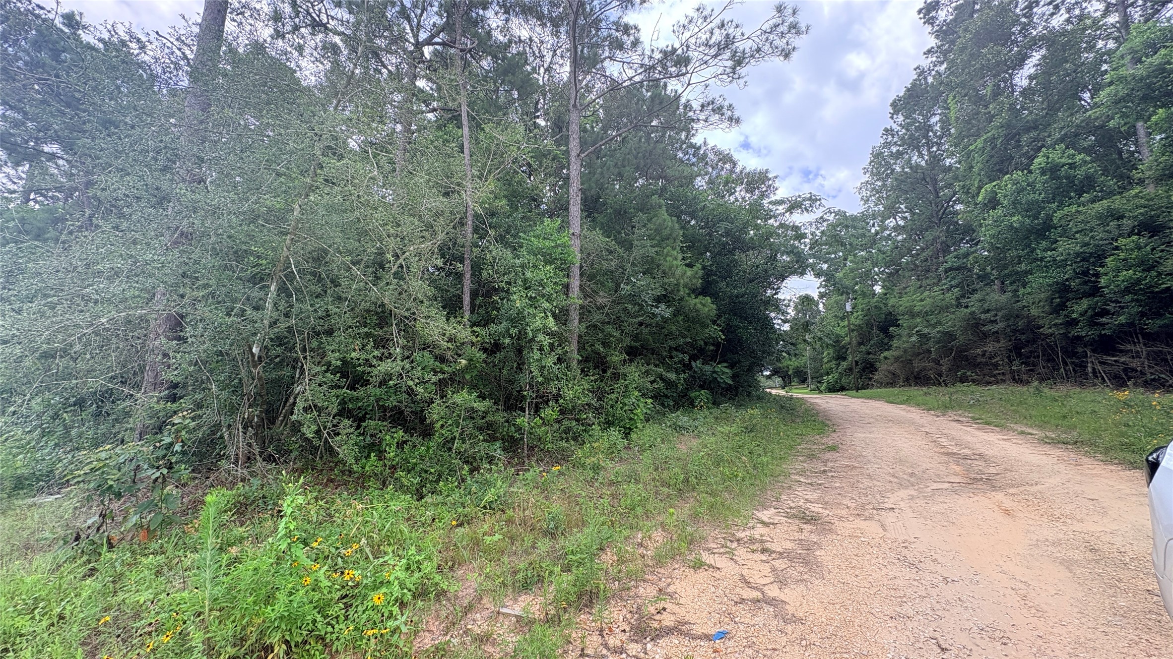 Lot 1 Millcreek Drive Property Photo 5