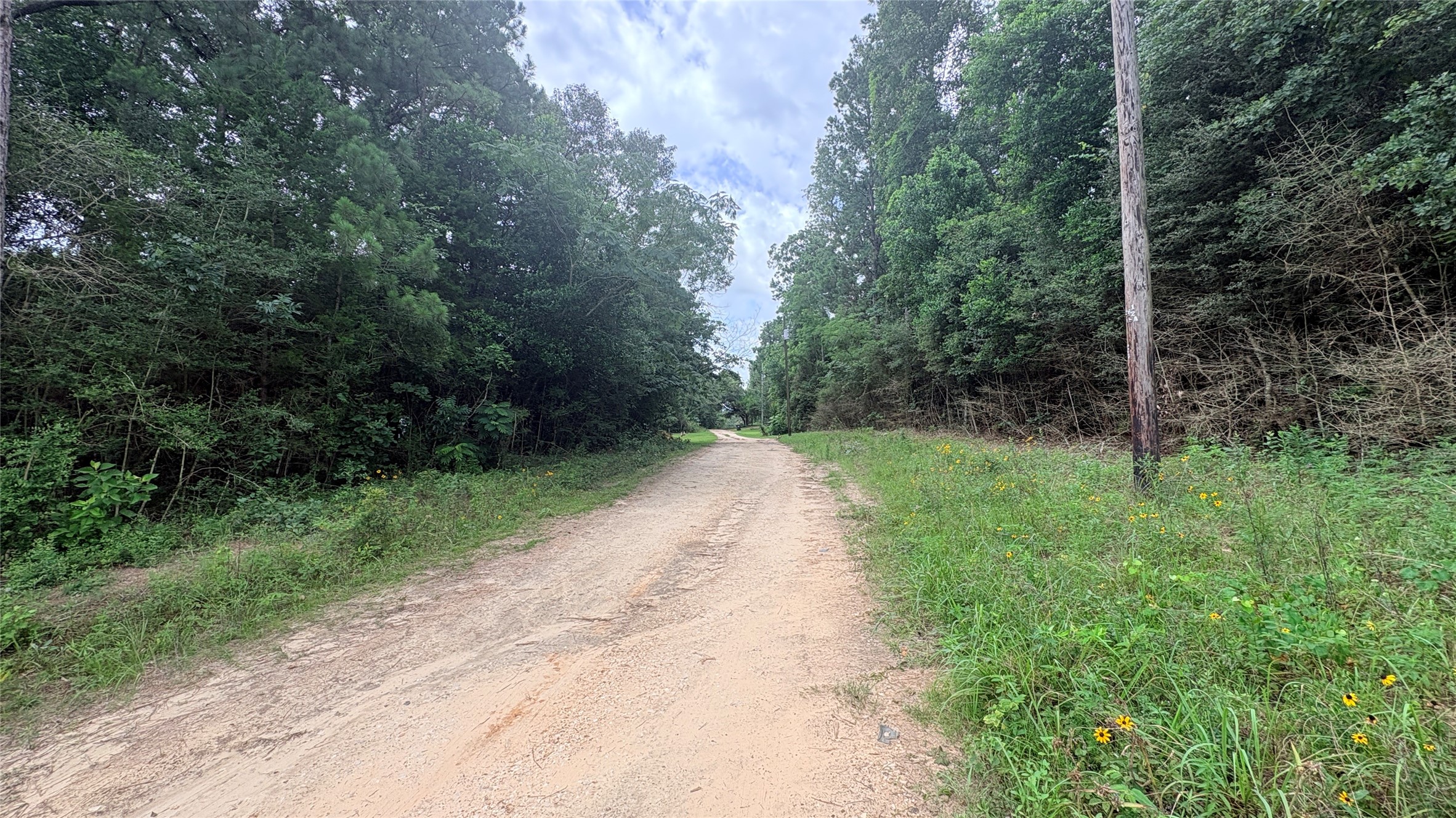 Lot 1 Millcreek Drive Property Photo 8