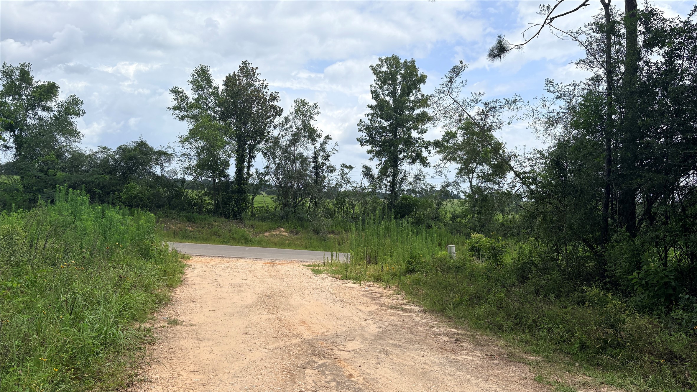 Lot 1 Millcreek Drive Property Photo 10
