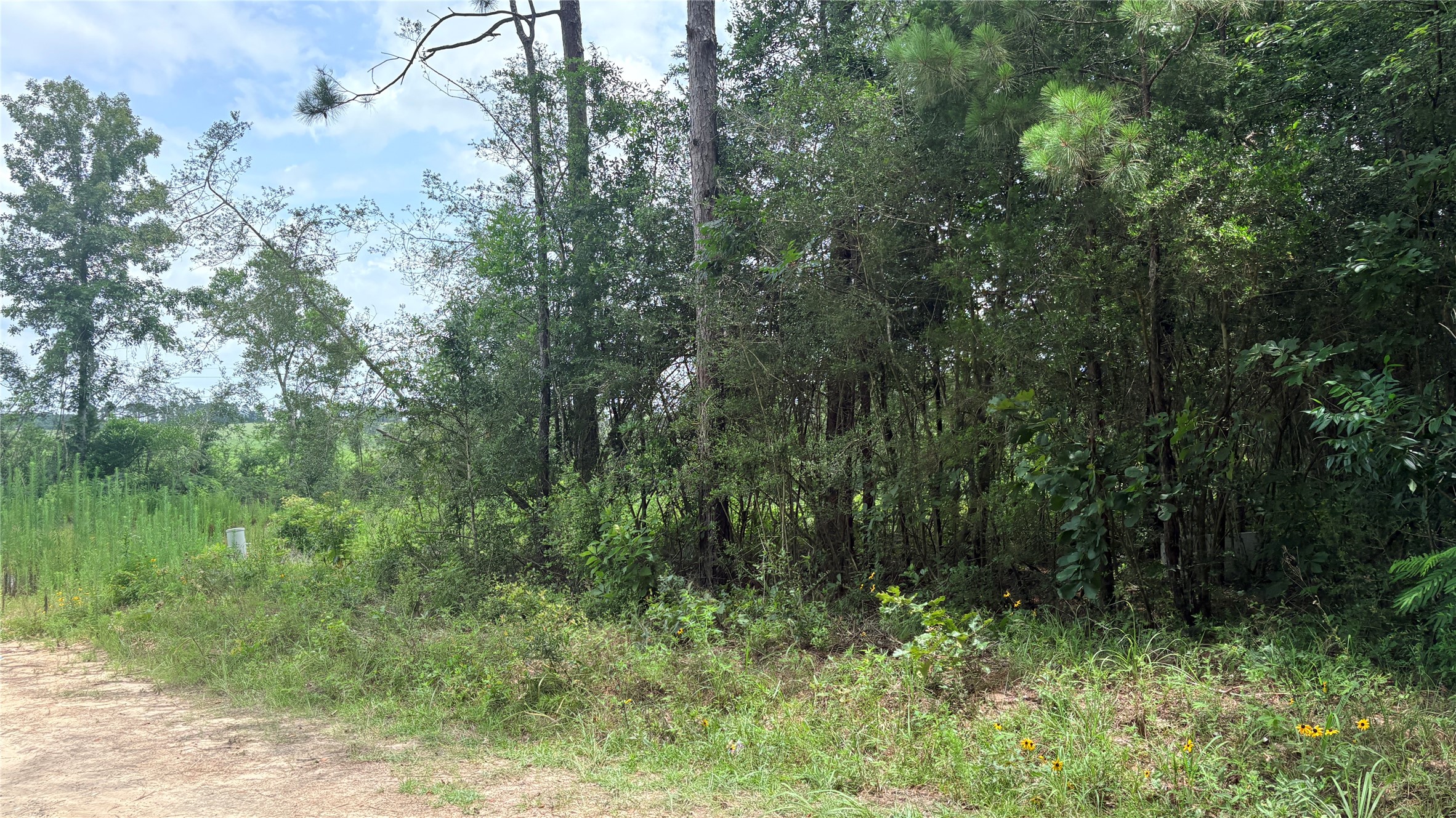 Lot 1 Millcreek Drive Property Photo 11