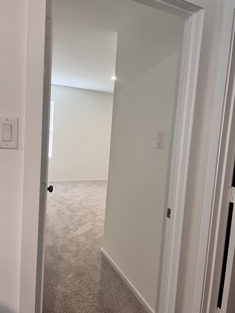 5435 Still Meadow Lane Property Photo 29