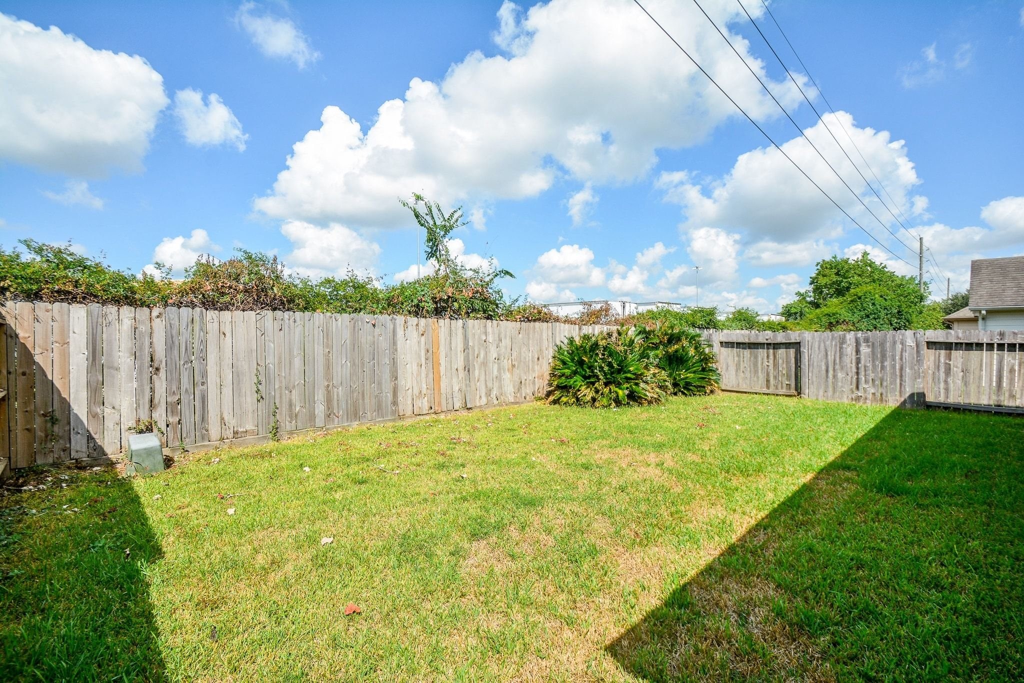 2223 Castle Garden Property Photo 37