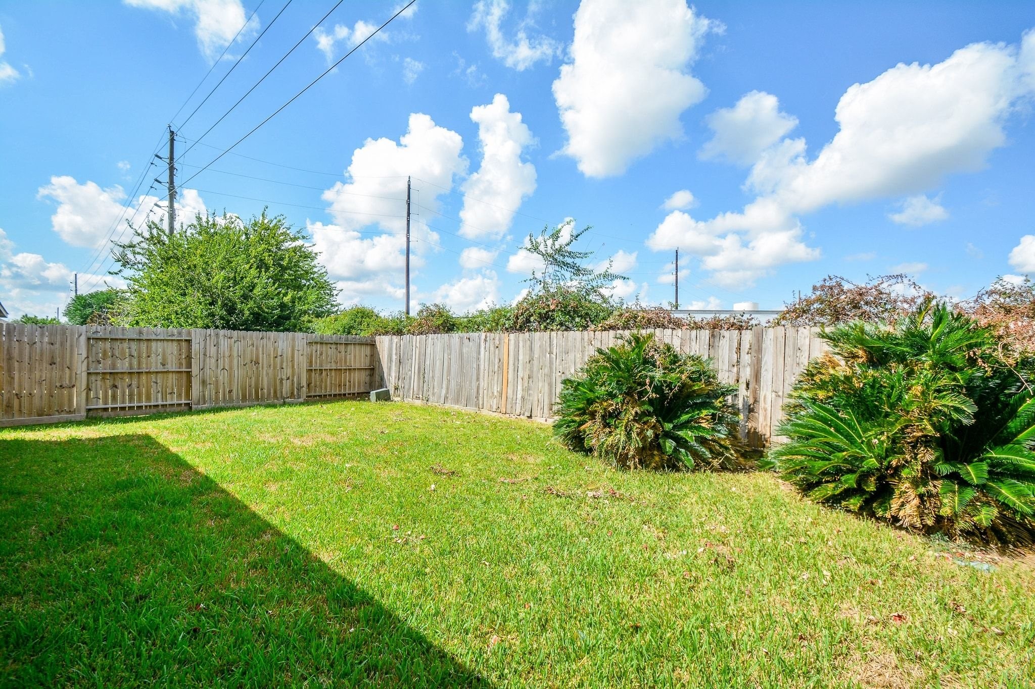 2223 Castle Garden Property Photo 38
