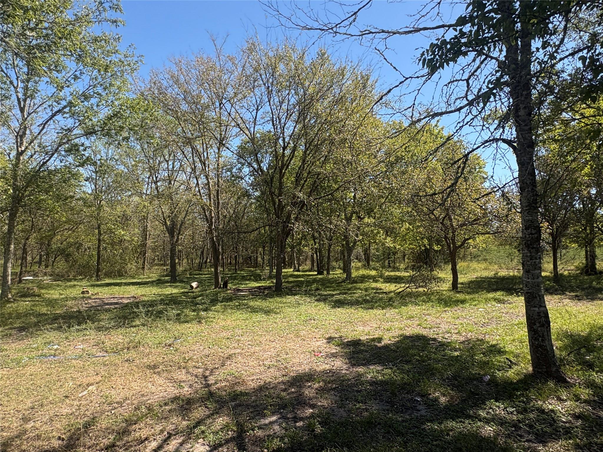 13.051 Acres Independence Drive, Bedias Tx 77831 Property Photo 2